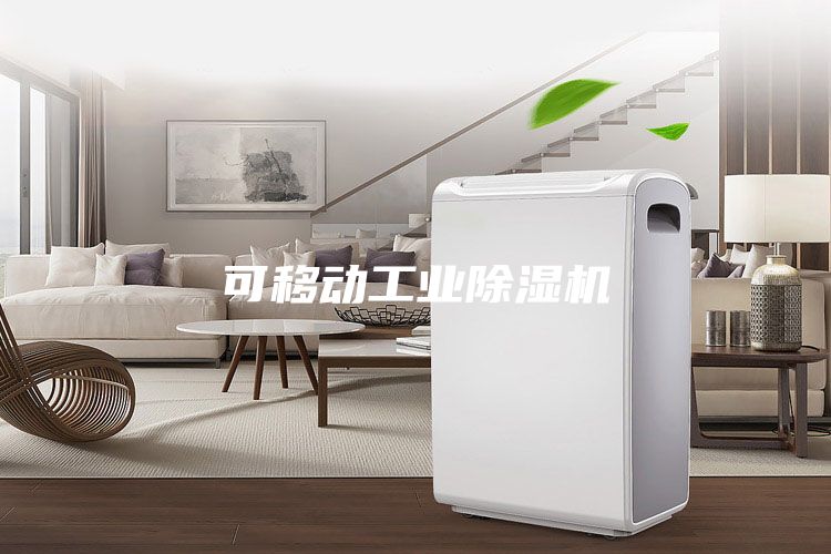 可移動(dòng)工業(yè)除濕機