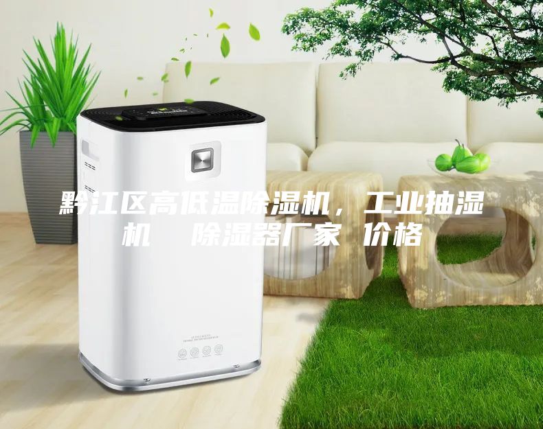 黔江區高低溫除濕機，工業(yè)抽濕機  除濕器廠(chǎng)家 價(jià)格