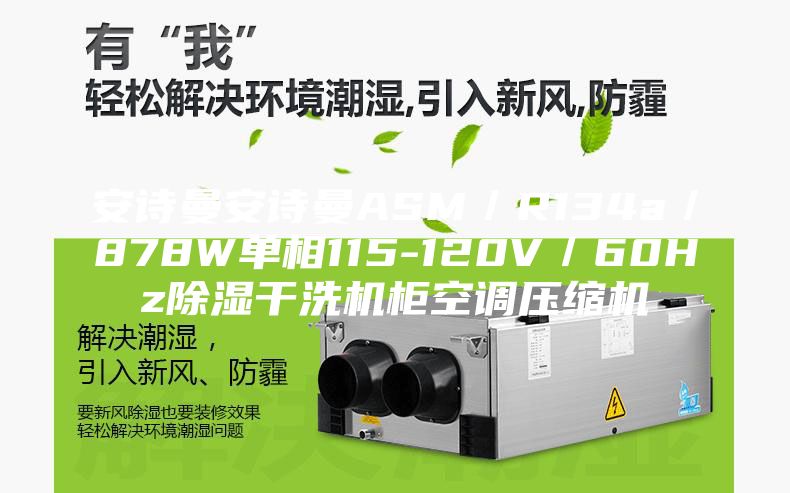 安詩(shī)曼安詩(shī)曼ASM／R134a／878W單相115-120V／60Hz除濕干洗機柜空調壓縮機