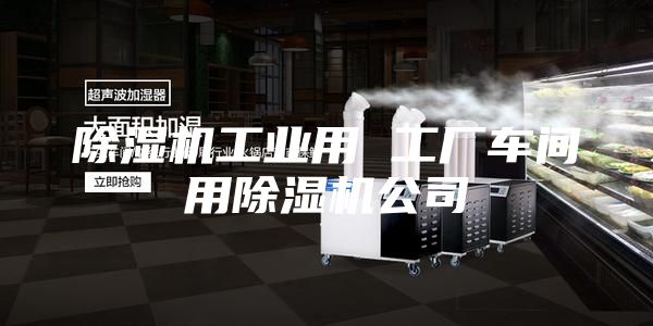 除濕機工業(yè)用 工廠(chǎng)車(chē)間用除濕機公司