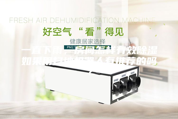 一直下雨，房間怎樣有效除濕如果用掃地機器人有推薦的嗎？