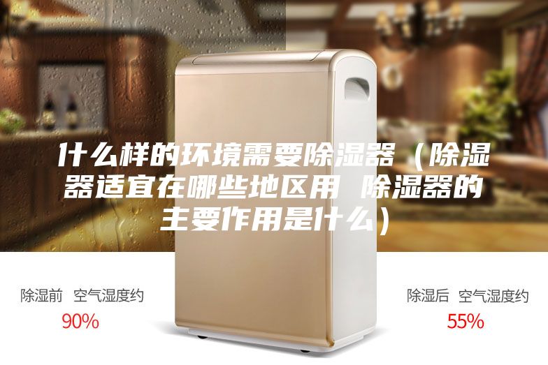 什么樣的環(huán)境需要除濕器（除濕器適宜在哪些地區用 除濕器的主要作用是什么）