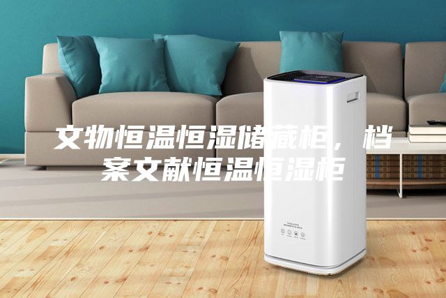 文物恒溫恒濕儲藏柜，檔案文獻恒溫恒濕柜