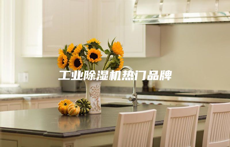 工業(yè)除濕機熱門(mén)品牌