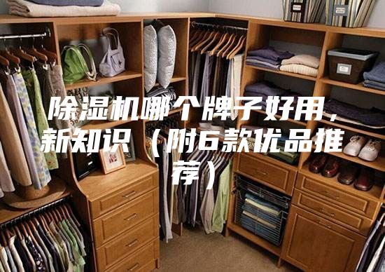 除濕機哪個(gè)牌子好用，新知識（附6款優(yōu)品推薦）