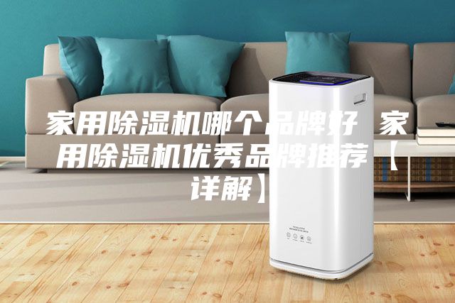 家用除濕機哪個(gè)品牌好 家用除濕機優(yōu)秀品牌推薦【詳解】