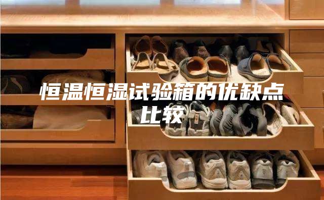 恒溫恒濕試驗箱的優(yōu)缺點(diǎn)比較
