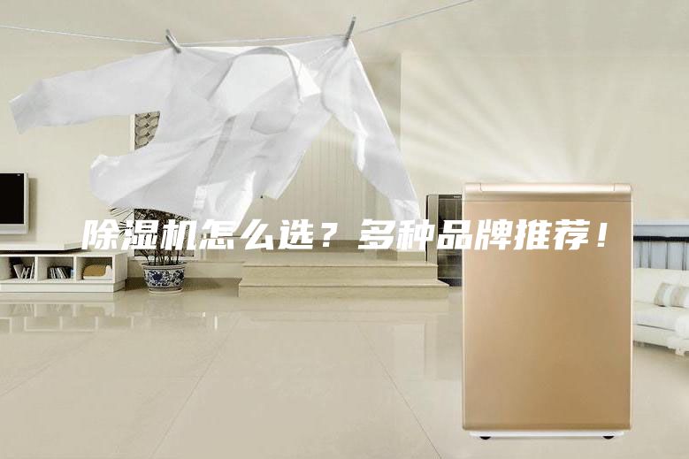 除濕機怎么選？多種品牌推薦！