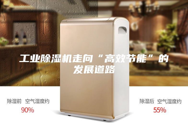 工業(yè)除濕機走向“高效節能”的發(fā)展道路