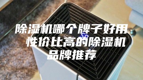 除濕機哪個(gè)牌子好用 性?xún)r(jià)比高的除濕機品牌推薦
