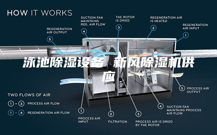 泳池除濕設備 新風(fēng)除濕機供應