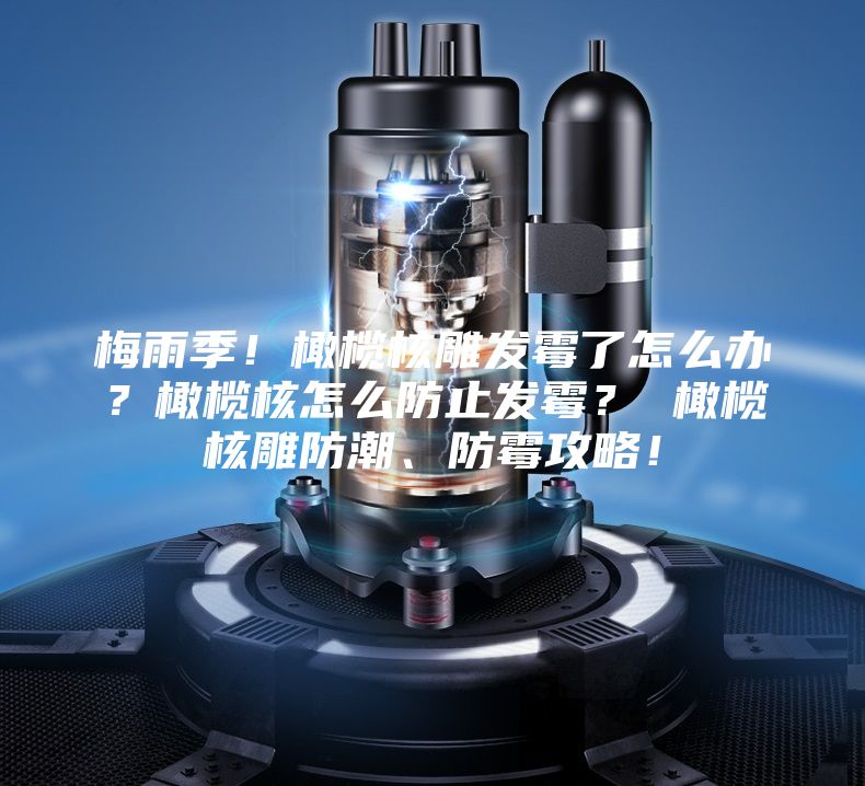 梅雨季！橄欖核雕發(fā)霉了怎么辦？橄欖核怎么防止發(fā)霉？ 橄欖核雕防潮、防霉攻略！