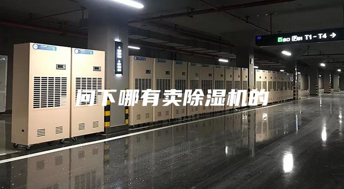 問(wèn)下哪有賣(mài)除濕機的