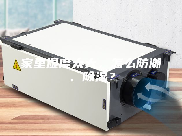 家里濕度太大，怎么防潮、除濕？