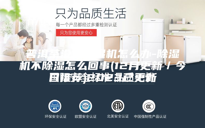 普洱茶沒(méi)有除濕機怎么辦-除濕機不除濕怎么回事(12月更新／今日推薦)2023已更新