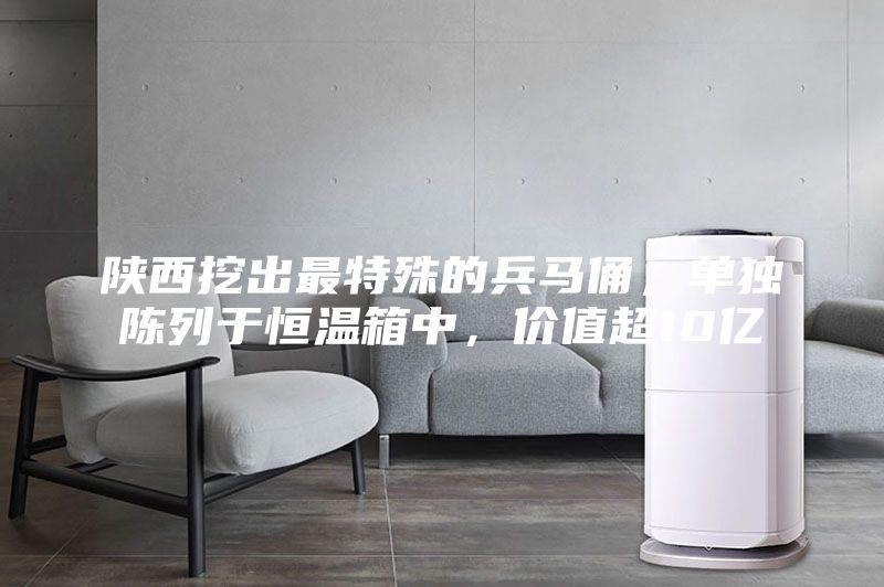 陜西挖出最特殊的兵馬俑，單獨陳列于恒溫箱中，價(jià)值超10億