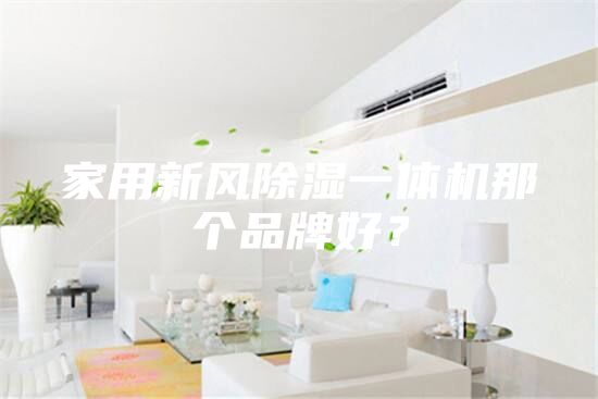 家用新風(fēng)除濕一體機那個(gè)品牌好？