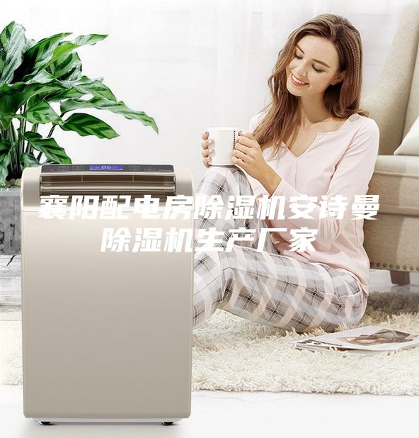 襄陽(yáng)配電房除濕機安詩(shī)曼除濕機生產(chǎn)廠(chǎng)家