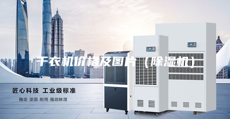 干衣機價(jià)格及圖片（除濕機）