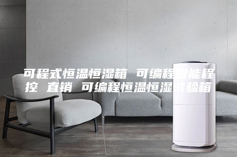 可程式恒溫恒濕箱 可編程智能程控 直銷(xiāo) 可編程恒溫恒濕試驗箱