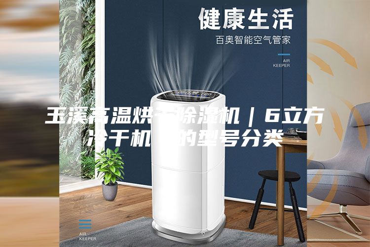 玉溪高溫烘干除濕機｜6立方冷干機｜的型號分類(lèi)