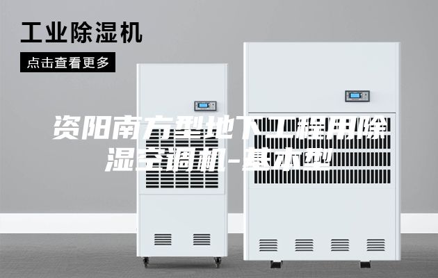資陽(yáng)南方型地下工程用除濕空調機-基本型