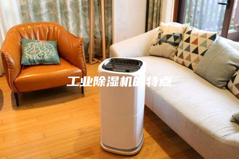 工業(yè)除濕機的特點(diǎn)