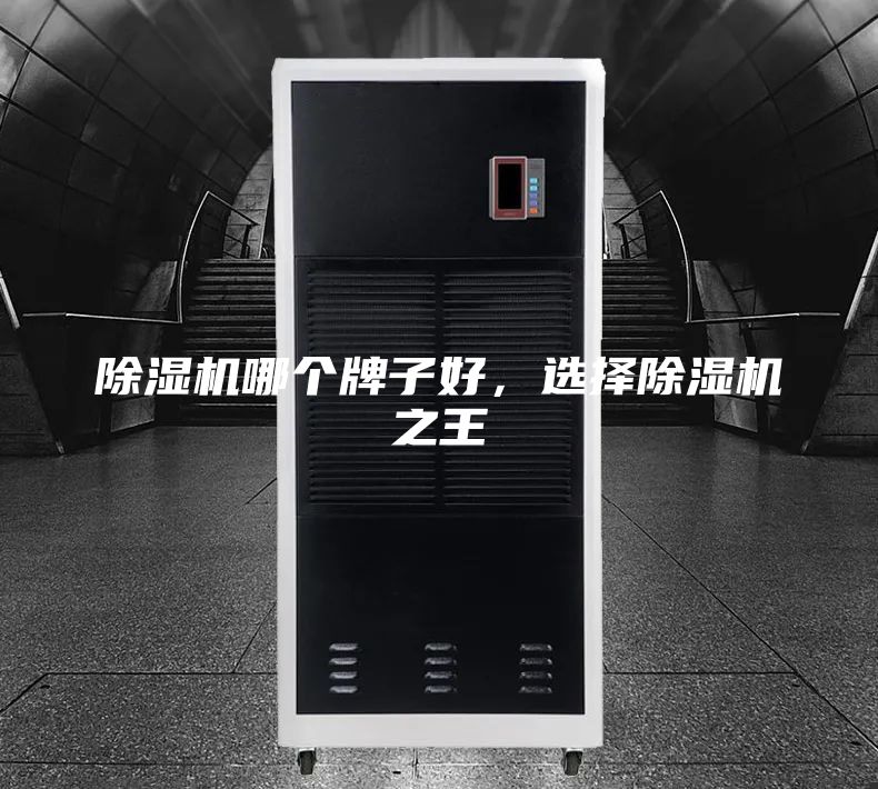 除濕機哪個(gè)牌子好，選擇除濕機之王