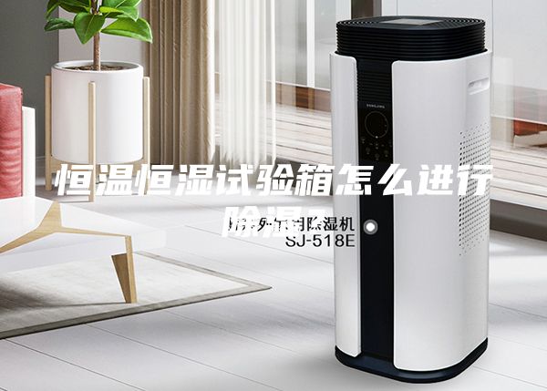 恒溫恒濕試驗箱怎么進(jìn)行除濕？