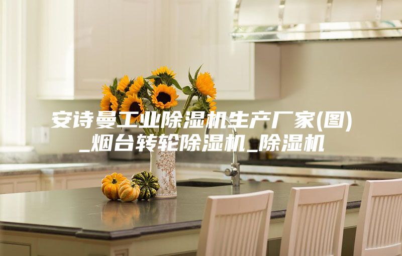 安詩(shī)曼工業(yè)除濕機生產(chǎn)廠(chǎng)家(圖)_煙臺轉輪除濕機_除濕機