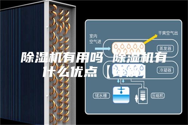 除濕機有用嗎 除濕機有什么優(yōu)點(diǎn)【詳解】