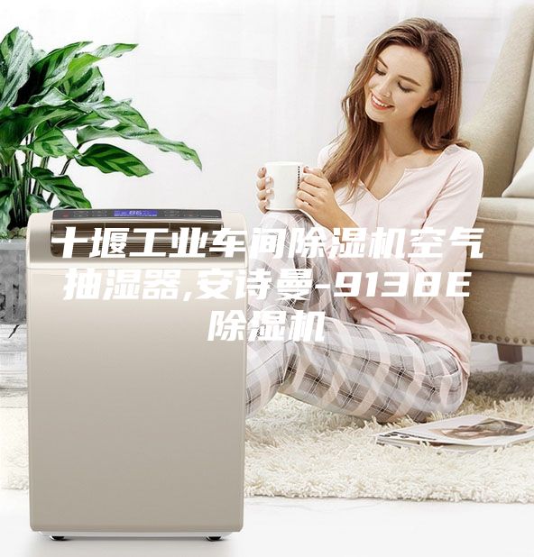 十堰工業(yè)車(chē)間除濕機空氣抽濕器,安詩(shī)曼-9138E除濕機