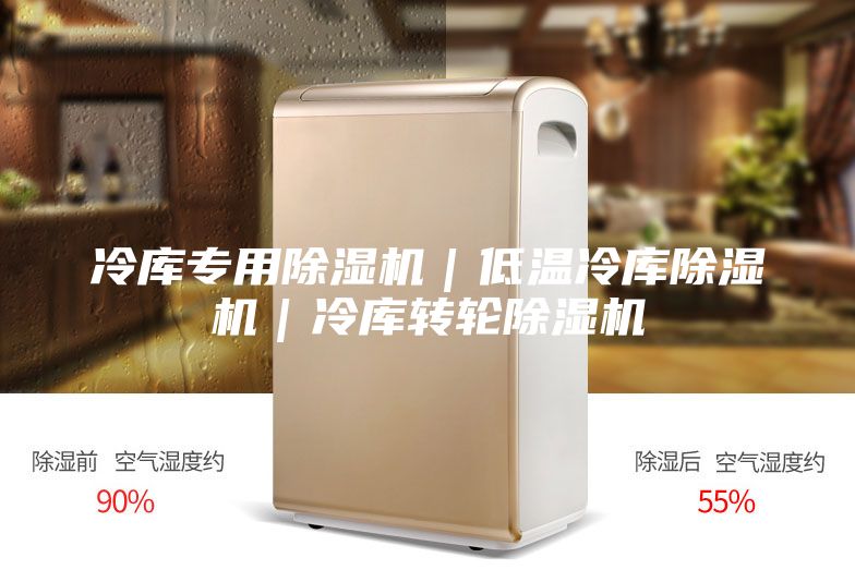 冷庫專(zhuān)用除濕機｜低溫冷庫除濕機｜冷庫轉輪除濕機