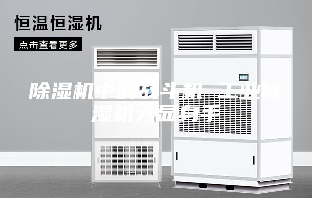 除濕機中的戰斗機 工業(yè)除濕機大顯身手