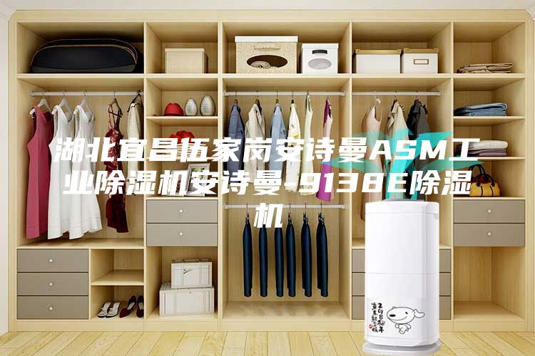 湖北宜昌伍家崗安詩(shī)曼ASM工業(yè)除濕機安詩(shī)曼-9138E除濕機