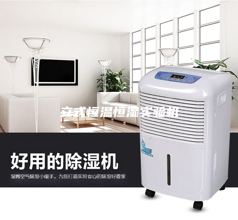 立式恒溫恒濕實(shí)驗機