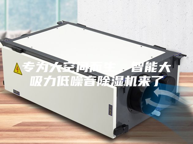 專(zhuān)為大空間而生，智能大吸力低噪音除濕機來(lái)了