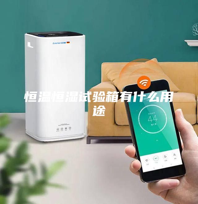 恒溫恒濕試驗(yàn)箱有什么用途
