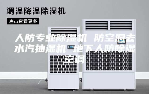 人防專(zhuān)業(yè)除濕機 防空洞去水汽抽濕機 地下人防除濕空調