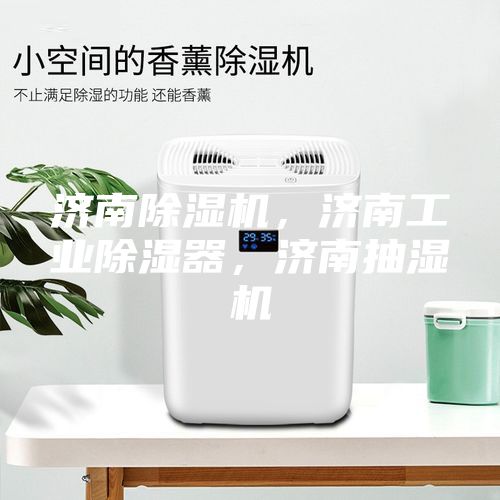 濟南除濕機，濟南工業(yè)除濕器，濟南抽濕機