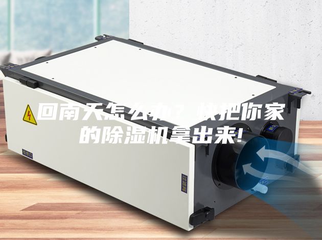 回南天怎么辦？快把你家的除濕機拿出來(lái)!