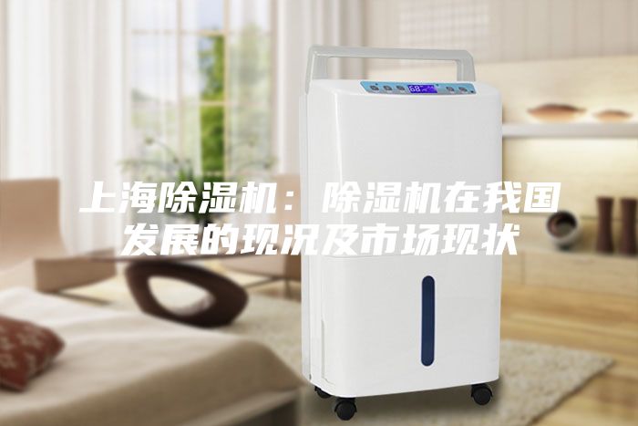 上海除濕機：除濕機在我國發(fā)展的現況及市場(chǎng)現狀