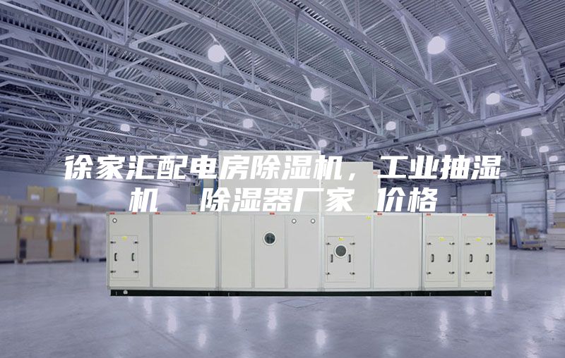 徐家匯配電房除濕機，工業(yè)抽濕機  除濕器廠(chǎng)家 價(jià)格