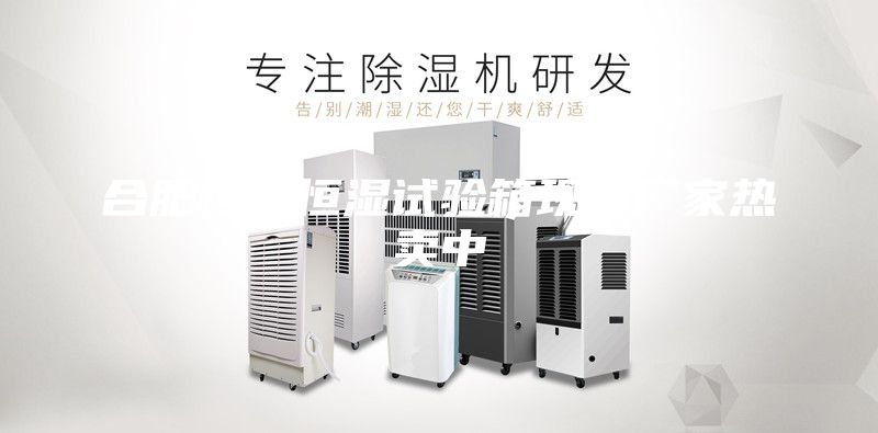 合肥恒溫恒濕試驗箱現貨廠(chǎng)家熱賣(mài)中