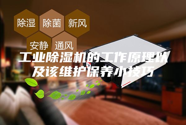 工業(yè)除濕機的工作原理以及該維護保養小技巧