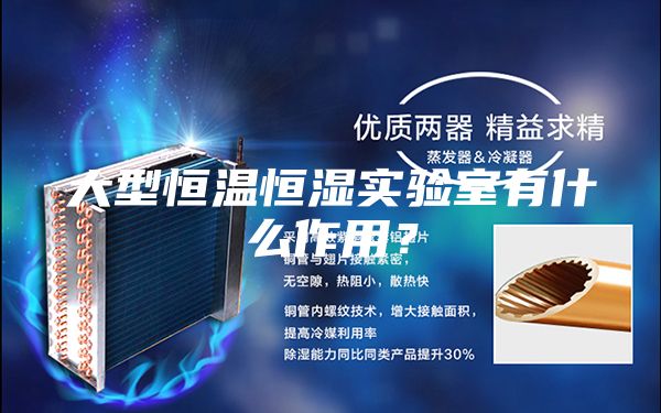 大型恒溫恒濕實(shí)驗室有什么作用？