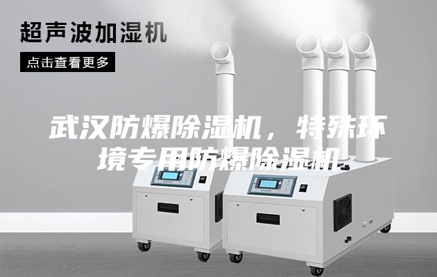武漢防爆除濕機，特殊環(huán)境專(zhuān)用防爆除濕機