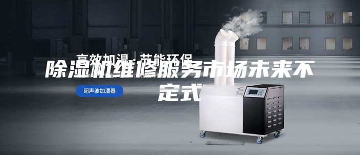 除濕機維修服務(wù)市場(chǎng)未來(lái)不定式