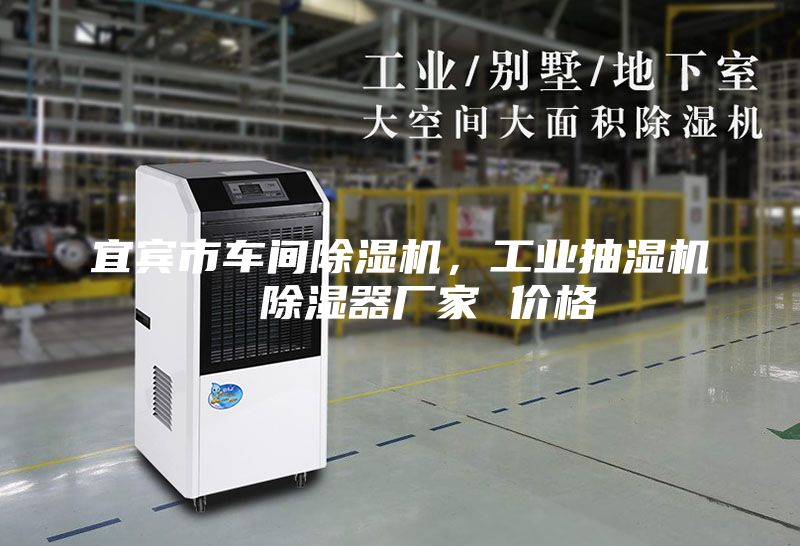宜賓市車(chē)間除濕機，工業(yè)抽濕機  除濕器廠(chǎng)家 價(jià)格