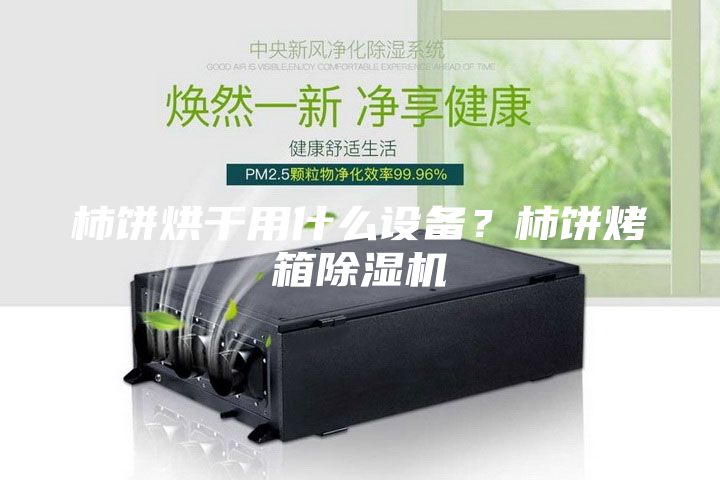 柿餅烘干用什么設備？柿餅烤箱除濕機